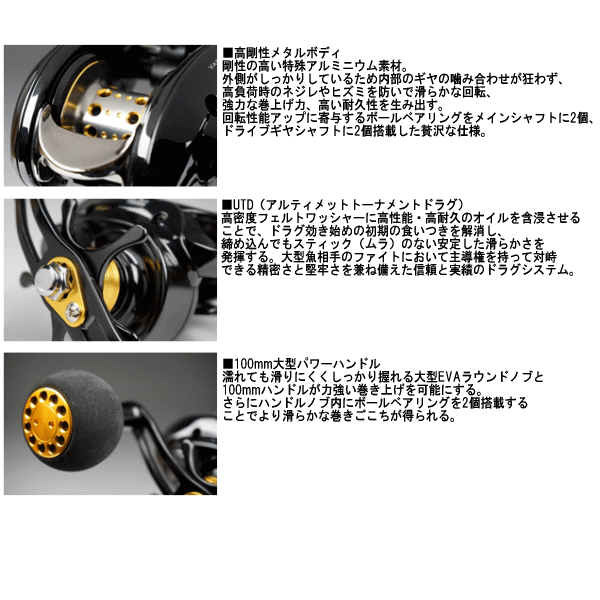 16年3月新商品 ダイワ ヴァデル ベイジギング 100shl 3月発売予定 ご予約受付中
