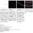 画像3: ≪'20年4月新商品！≫ シマノ '20 スコーピオン 1653RS-2 〔仕舞寸法 130.0cm〕 【保証書付き】 [4月発売予定/ご予約受付中]