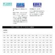 画像2: ≪新商品！≫ サンライン ソルティメイト システムショックリーダーFC 30m 20号 クリア