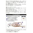 画像5: ≪'20年10月新商品！≫ 山元工房 プロ山元ウキ W合金18 アンダーロック R(レギュラータイプ) レモン 2B