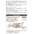 画像5: ≪'20年10月新商品！≫ 山元工房 プロ山元ウキ W合金18 アンダーロック E(遠投タイプ) レモン 2B