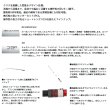 画像2: ≪'24年11月新商品！≫ ダイワ アナリスター ヤリイカ 195・J 〔仕舞寸法 102cm〕 【保証書付き】