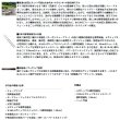 画像4: ≪'25年2月新商品！≫ ダイワ 銀影競技 スペシャル T テクニカル90・J 〔仕舞寸法 143cm〕 【保証書付き】【大型商品1/代引不可】