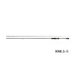 画像1: ≪'25年3月新商品！≫ ダイワ アユイング X 100MS-S 〔仕舞寸法 157cm〕 【保証書付き】【大型商品1/代引不可】