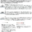 画像2: ≪'25年3月新商品！≫ ダイワ マッドバイパー泳がせSP XH-175 〔仕舞寸法 175cm〕 【保証書付き】【大型商品1/代引不可】