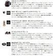 画像2: ≪'25年11月新商品！≫ アブガルシア マックス 5 エリート ロケット (左) 【返品不可】 【小型商品】
