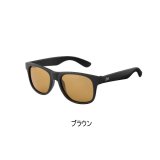 画像: ≪'25年5月新商品！≫ ダイワ トリアセテート調光偏光グラス DN-8065H ブラウン