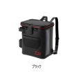 画像1: ≪'25年8月新商品！≫ ダイワ タックルリュック(A) ブラック 28L