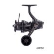 画像1: （26年4月新商品） アブガルシア レイレックス スピニング 4000SH （返品不可） （小型商品）