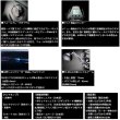 画像4: （26年1月新商品） ダイワ 26 シーボーグ 500J （小型商品）
