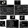 画像4: （26年2月新商品） ダイワ 26 セルテート HD LT3000-XH （小型商品）