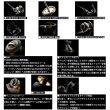 画像5: （26年3月新商品） ダイワ 26 ソルティガ 30000-H （小型商品）