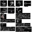 画像4: （26年4月新商品） ダイワ 26 セルテート SW 18000-H （小型商品）
