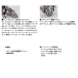 画像3: （26年5月新商品） ダイワ 26 アオリマチック BR LT3000 （小型商品）