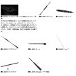 画像3: （26年3月新商品） ダイワ アウトレイジ XV BLJ 68MHS （仕舞寸法 106cm）