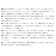画像3: （26年11月新商品） がまかつ ライトショルダーバッグ5 GB-415 ネイビー×グリーン 31L （11月発売予定／ご予約受付中）