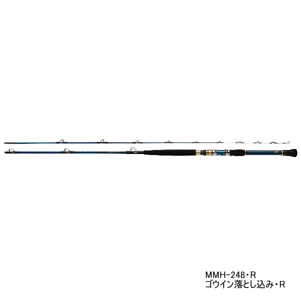 画像1: ≪'21年8月新商品！≫ ダイワ ゴウイン落とし込み H-245・R 〔仕舞寸法 127cm〕 【保証書付き】