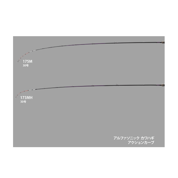 画像3: ≪'25年6月新商品！≫ アルファタックル（alpha tackle） 25 アルファソニック カワハギ 173MH 〔仕舞寸法 141cm〕 [6月発売予定/ご予約受付中] 【大型商品1/代引不可】