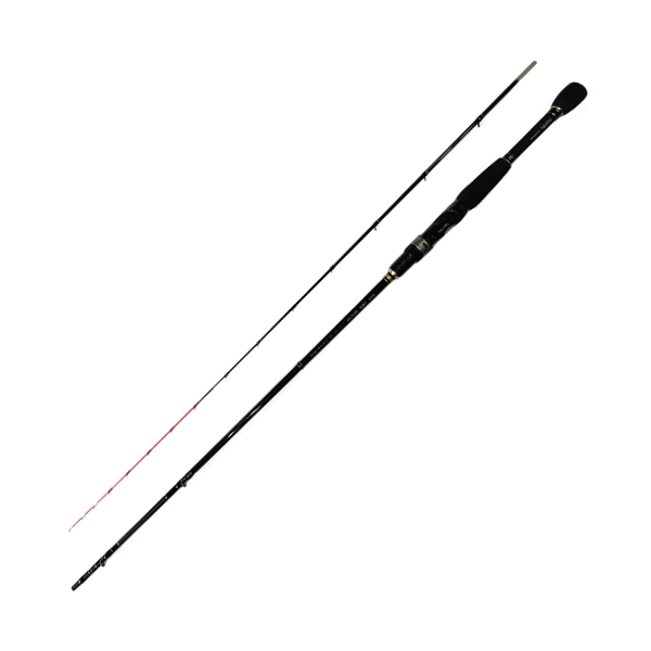 画像1: ≪'25年9月新商品！≫ 宇崎日新 極技 攻 イカダ セカンド 先調子(並継) 1602 〔仕舞寸法 85cm〕