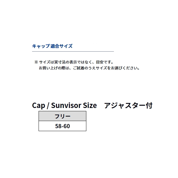 画像3: ≪'25年8月新商品！≫ ダイワ ゴアテックスキャップ DC-1025 リアルレイク フリーサイズ