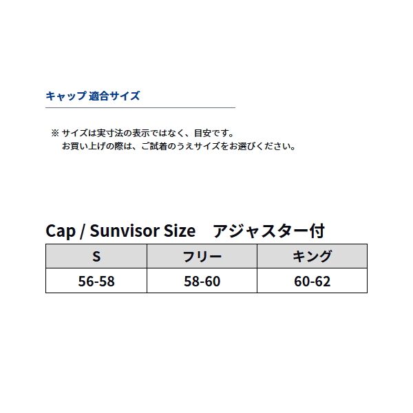 画像3: ≪'25年8月新商品！≫ ダイワ ゴアテックスハット DC-1925 プラム フリーサイズ