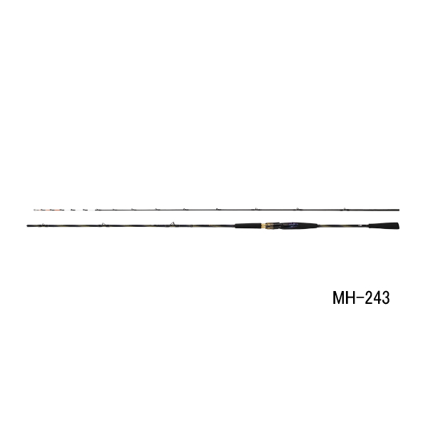 画像1: ≪'25年9月新商品！≫ ダイワ 極鋭 ヒラメ EX SS/MH-245 〔仕舞寸法 127cm〕 【保証書付き】