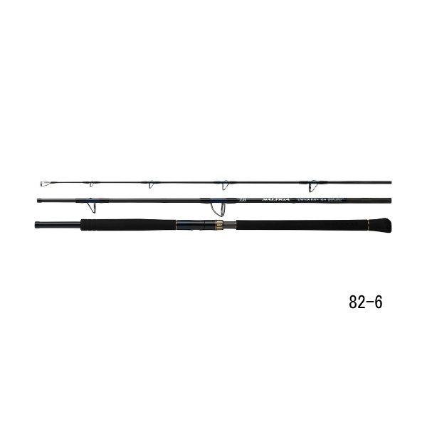 画像1: ≪'25年9月新商品！≫ ダイワ ソルティガ C エクスペディション 82-6 〔仕舞寸法 90cm〕 【保証書付き】