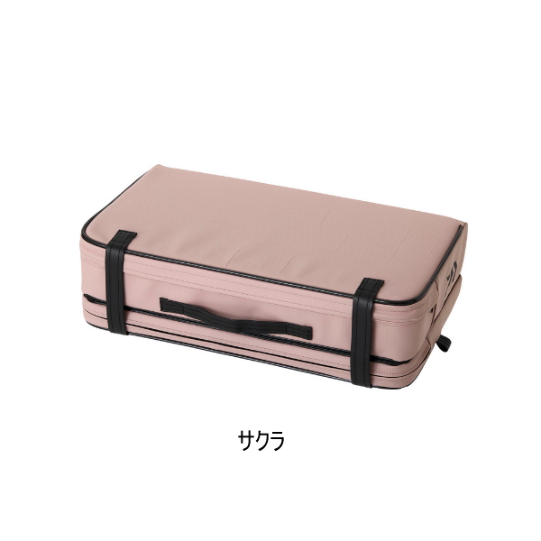 画像1: （25年10月新商品） ダイワ クッション LT （D） サクラ