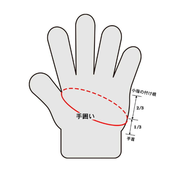 画像4: ハヤブサ ストレッチタフ手甲グローブ 5本カット Y4198 ネイビー（80） フリーサイズ