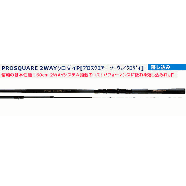 画像1: 宇崎日新 　プロスクエア 2WAY クロダイP 　510